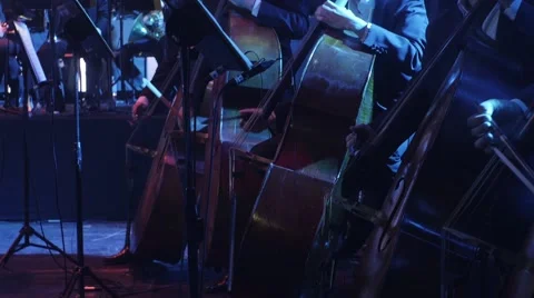 Line of a Double Basses Section is Playing Synchronously Musicians are Playing Stock Footage 60226255