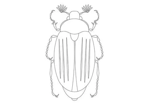 Line drawing of a beetle insect with detailed wings and body イラスト素材