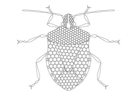 Line drawing of a bug with detailed hexagon pattern Stock-Illustration