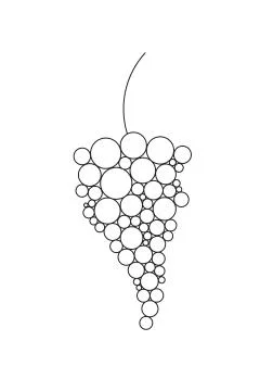 Line drawing of a bunch of grapes. Vector illustration. Stock Illustration