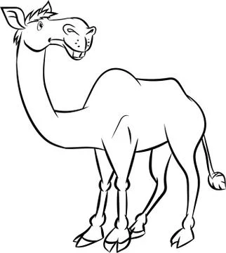 Line drawing a camel - Vector illustration Stock Illustration