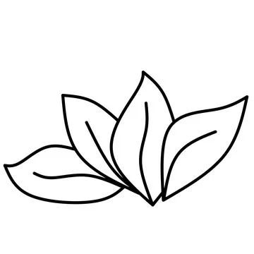  Line drawing cartoon leaves vector illustration Stock Illustration