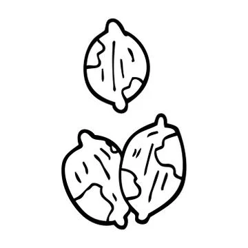 Line drawing cartoon nuts in shells Stock Illustration