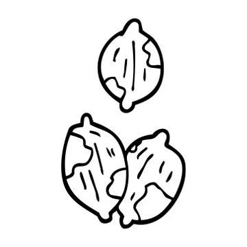 Line drawing cartoon nuts in shells Stock Illustration