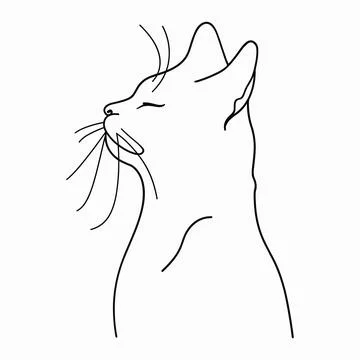 Line drawing of cat. Abstract kitten portrait isolated on white background Stock Illustration