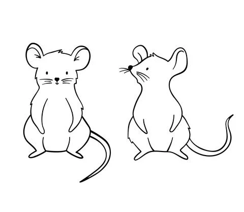 Line drawing of cute standing mouse. Vector graphic illustration of pet Stock Illustration