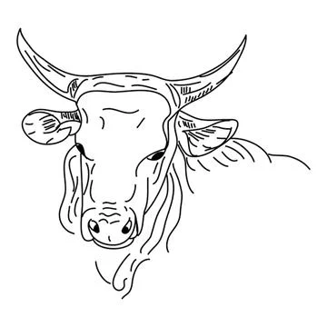 Line drawing of a deer with large antlers and long ears Stock Illustration