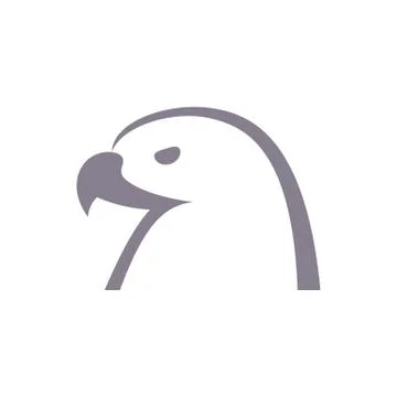 Line drawing eagles head vector illustration isolated on white background. Stock Illustration