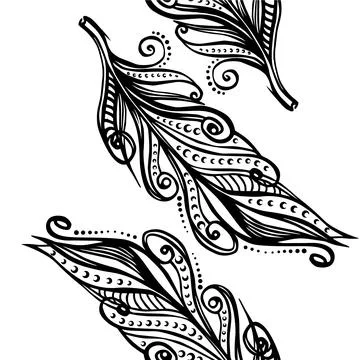 Line drawing of a feather. Abstract pattern of black and white feathers can be Stock Illustration