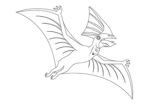 Line drawing of flying pterosaur with large wings Stock Illustration