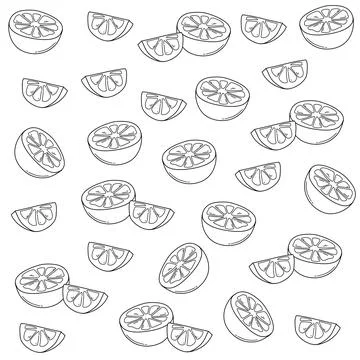 A line drawing of lemon slices and slices on a white background. Drink Menu back 스톡 일러스트