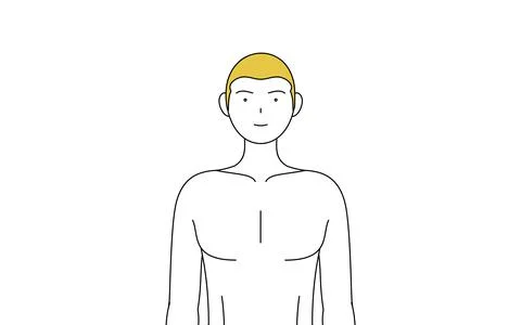 Line drawing of a man who has had his hair removed, pose standing facing forw Stock Illustration