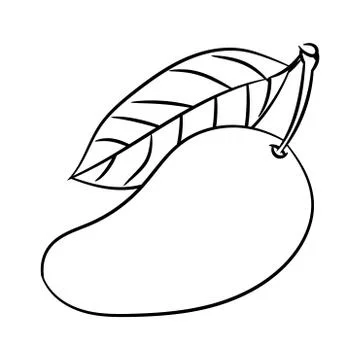 Line Drawing of Mango -Simple line Vector Stock Illustration