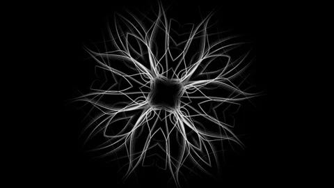 Line drawing of modern floral pattern - seamless looping (FULL HD) Stockbeeldmateriaal 84778986