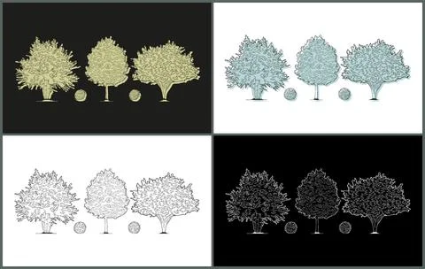 Line Drawing Plant Trees Illustrations set Stock Illustration