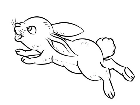 Line Drawing of Rabbit -Simple line Vector Stock Illustration