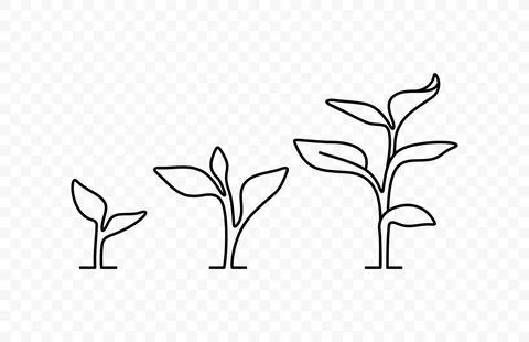 Line drawing of small tree growing vector design Stock Illustration