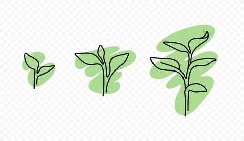 Line drawing of small tree growing vector design Stock Illustration