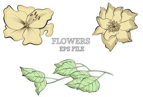 Line drawn botanical sketch with flowers Stock Illustration