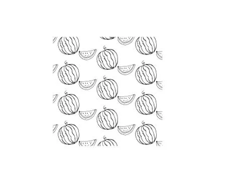 Line drawn watermelon pattern line illustration fruit texture summer sketch 库存插图