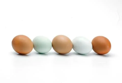 Line of eggs Stock Photos