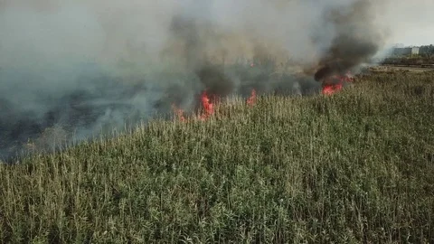 The line of flame 库存影片 123241468