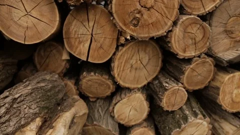 Line of folded logs Stock Footage 77713114
