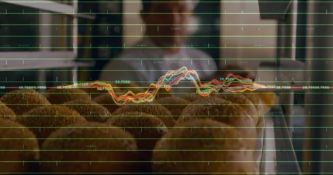 Line graph tracking baking metrics reaching peak, baker pulling tray of bread Stock Footage 314709401