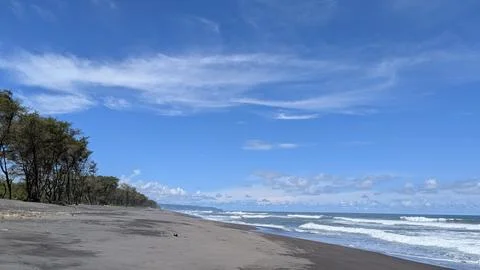 A line of green trees borders a dark volcanic sand beach. White foaming wav.. Stock Photos