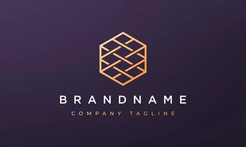 Line hexagon geometry logo concept in a line art style Stock Illustration
