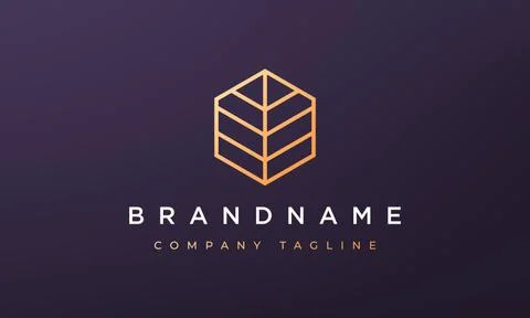 Line hexagon geometry logo concept in a line art style Stockillustratie