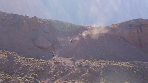 A line of horses carry cargo down a rocky hill on Aconcagua in Argentina Video stock 90879231