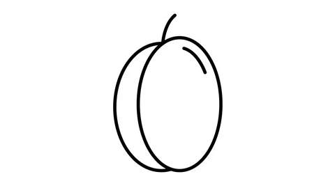 Line icon animation plum Stock-Footage 103732424