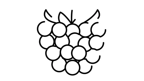 Line icon animation raspberry Stock Footage 103732090