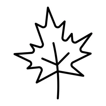 Line icon maple leaf outline vector Stock Illustration