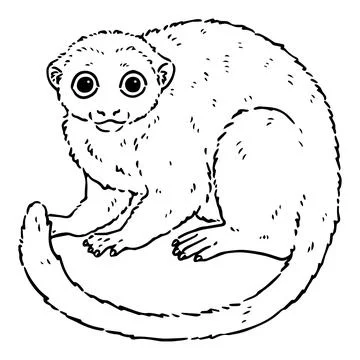 Line illustration of cute Night Monkey Stock Illustration