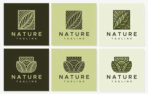 Line leaf logo design collection. Modern nature logo graphic vector. Stock Illustration