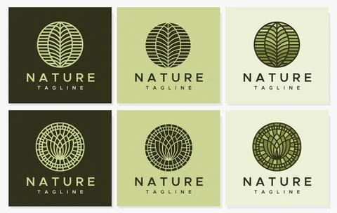 Line leaf logo design set. Modern nature line logo vector template. Stock Illustration