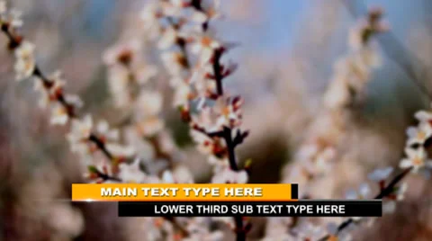 Line In Lower Third Stock After Effects