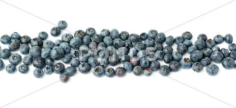 Line made of Bilberry or blueberry over isolated white background Stock Photos