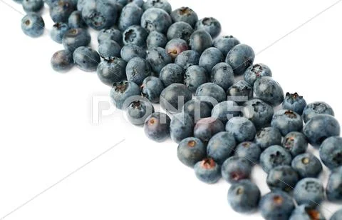 Line made of Bilberry or blueberry over isolated white background Stock Photos