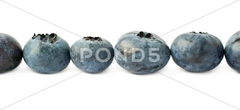 Line made of Bilberry or blueberry over isolated white background Stock Photos