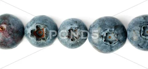 Line made of Bilberry or blueberry over isolated white background Stock Photos