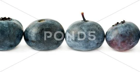 Line made of Bilberry or blueberry over isolated white background Stock Photos