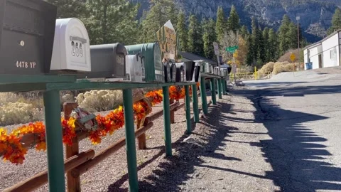 Line of mailboxes on Mt. Charleston, Nevada Stock Footage 169112196