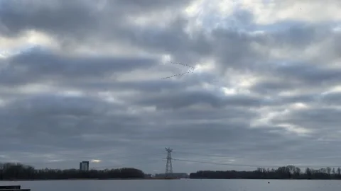 A line of Migratory birds flying through cloudy sky in Almere, Netherlands 動画素材 270323059