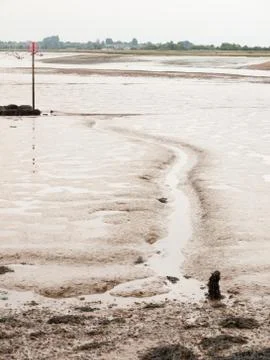 A line in the mud at the beach river Stock Photos