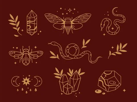 Line mystical elements. Magic insects, moon and stars elements. Flat outline 库存插图