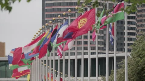 Line of national flags waving in front of the United Nations headquarters Stock Footage 274918774