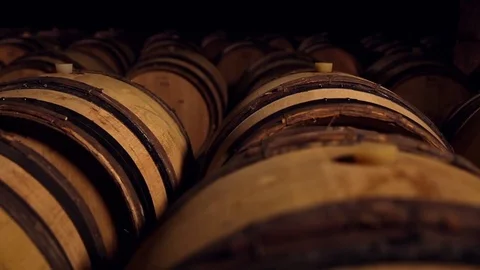Line of oak barrel in a cellar Stock Footage